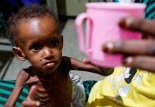 மரண பயத்தில் சூடான்: உணவின்றி இலைகளையும் புற்களையும் உண்ணும் மக்கள்! உலகையே உலுக்கும் கோரப் பஞ்சம்