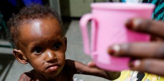 மரண பயத்தில் சூடான்: உணவின்றி இலைகளையும் புற்களையும் உண்ணும் மக்கள்! உலகையே உலுக்கும் கோரப் பஞ்சம்