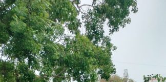 கெங்கவல்லி: அரசு அலுவலகங்கள் அருகே தேங்கும் கழிவுநீர் – தொற்றுநோய் பரவும் முன் நடவடிக்கை எடுக்க கோரிக்கை!