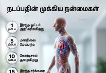தினமும் நடப்பதால் உடலுக்குள் நடக்கும் மேஜிக்! நிமிட கணக்கில் மாறும் ஹார்மோன் ரகசியங்கள் இதோ!